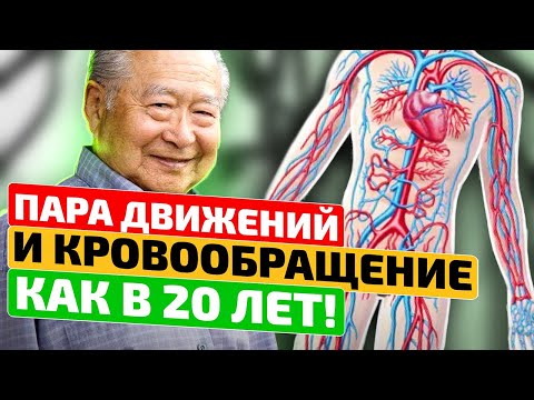 Видео: Почему тепло увеличивает кровоток?