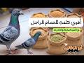 خلطة بطل السباقات 6 حبوب أساسية تجعل حمامك الزاجل لا يقهر في الجو 