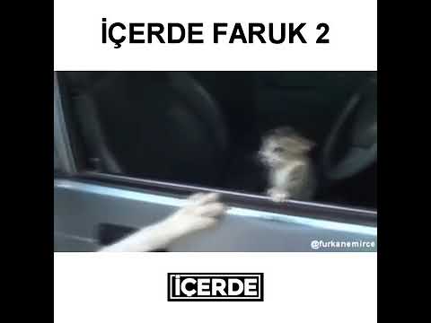 İCERDE FARUK 2 👍👍