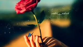 Yüreğine Sakla Beni