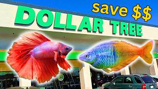 10 Dollar Tree Aquarium Hacks That Actually Save Money
