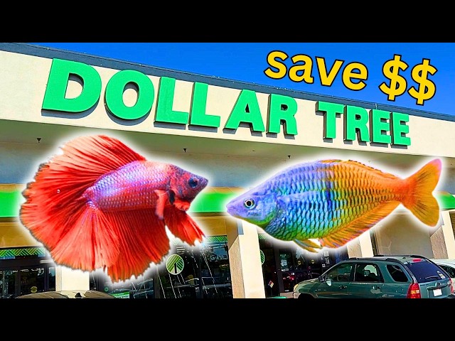 fishing reel and rod repair Kit Complete,Full Supplies with Glue for Freshwater & Saltwater Broken Fishing Pole Repair with Carbon Fiber Sticks, Rod Building Epoxy Finish, Wrapping Thread Tape : Sports & coastal charm necklace U of M researchers BRAID:Izorline 40lb white