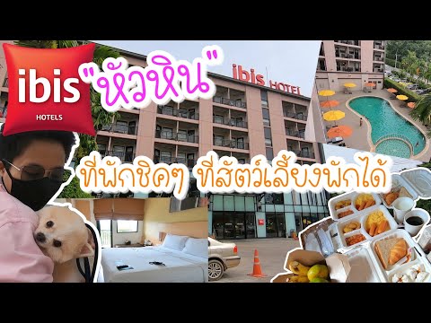 รีวิว ไอบิสหัวหิน | ibis Hua Hin hotel โรงแรมที่สัตว์เลี้ยงเข้าพักได้ พร้อมที่เที่ยวชิวๆ