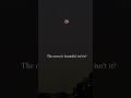 The moon is Beautiful ❤️ 🌕✨#moon #sky #night #viral #shorts #status #blackscreen