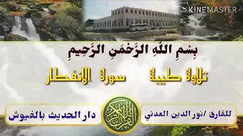 القرآن الكريم 🌼 القارئ: نور الدين العدني🌹