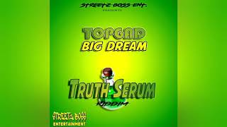 Top Gad - Big Dreams (Official Audio) Truth Serum Riddim