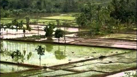 degung kawih, Lermbur Kuring   Nining Meida wmv   YouTube