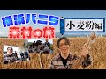 Yokohama Vanilla story＃12【新シリーズ横浜バニラ素材の旅！！小麦粉編】