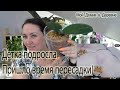 Яблонька дала детку !!!!! Отсаживание детки фаленопсиса !