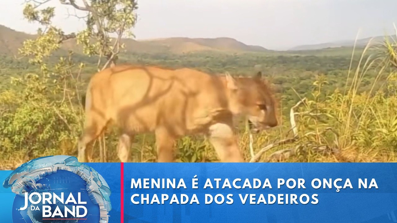 Menina é atacada por onça em trilha na Chapada dos Veadeiros