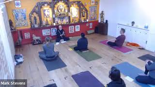 8.5.25 - Vinyas Krama - With Mark Stevens