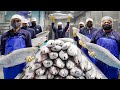Frozen Salmon Cutting Processing Plant &amp; Salmon Steak Recipe / 鮭魚加工廠, 鮭魚料理 - Taiwanese Food Factory