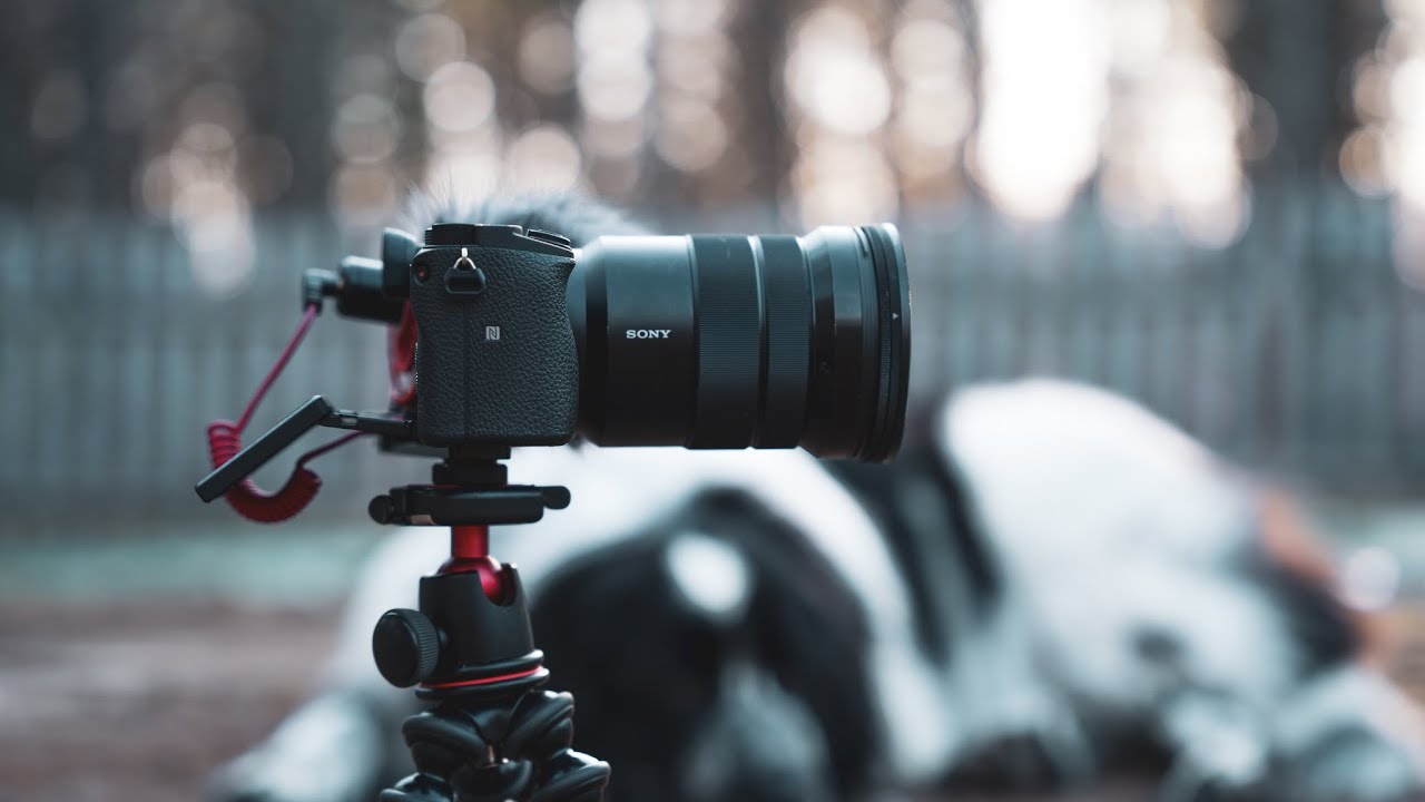 Sony 18-105mm f/4 + a6400 ⎮PHOTOGRAPHY TEST- 2021 - YouTube