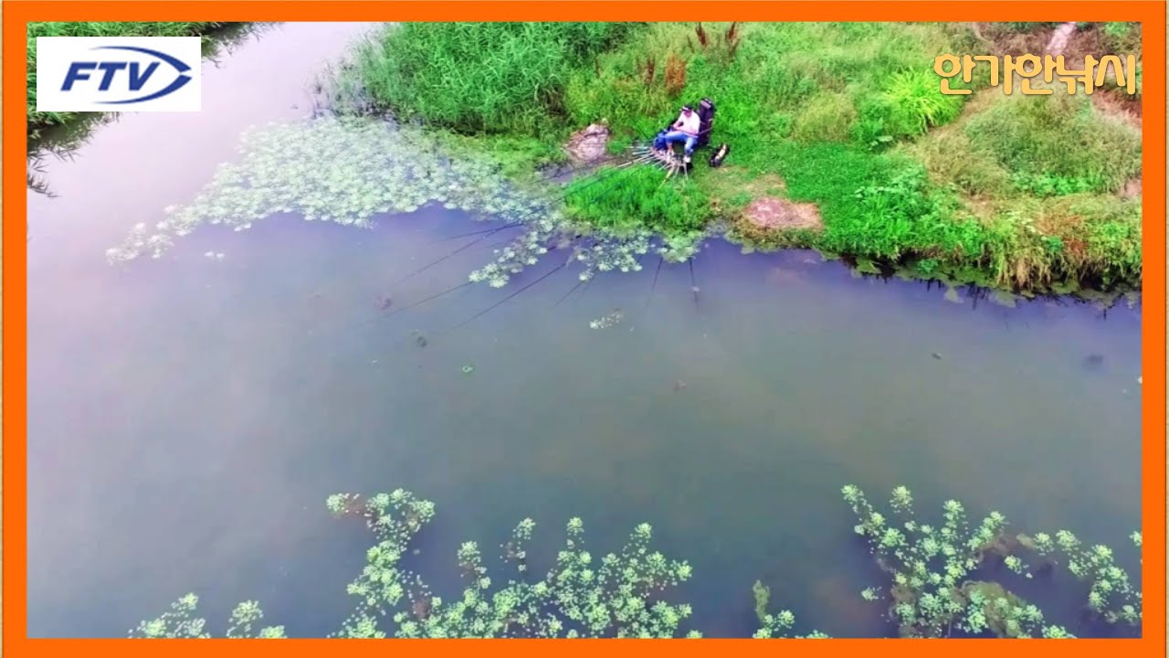 [FTV 한가한낚시] 붕어낚시 비가 내린 후 최고의 포인트 - 장마철 최고의 포인트 - 대물 붕어에서 마릿수 붕어까지 - 장마 포인트