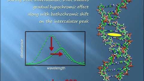 DNA Intercalation & Spectral Shift | Biophysical Chemistry | Explained & Clarified