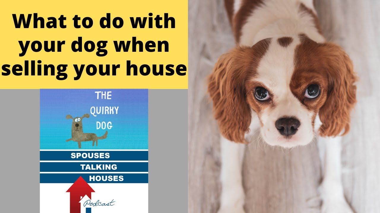 What to do with your pets when selling your home
