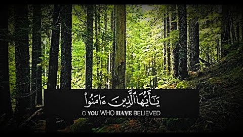 قرآن كريم /يا أيها الذين آمنوا اصبروا وصابروا ورابطوا عبدالرحمن الزواوي