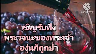 #พระคัมภีร์ไบเบิ้ล (วิวรณ์ บทที่ 13-14:1-17,1-20)#สรรเสริญพระเจ้าสูงสุด ✝️🙏😇❤️