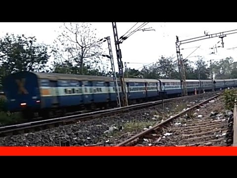 Crazy Honking Wap-4
