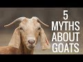 5 Myths About Goats