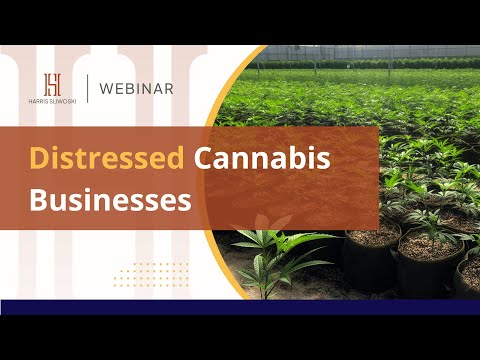 Distressed Cannabis Businesses