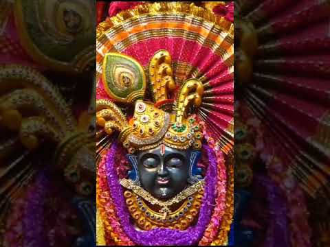 श्रावण कृष्ण एकादशी के पर्व पर सोमनाथ महादेव के वैष्णव दर्शन श्रृंगार