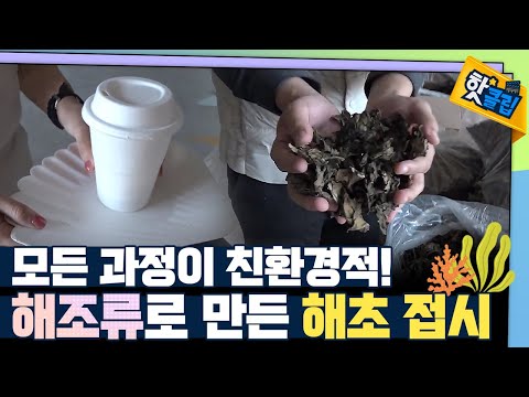 [핫클립] 해조류로 만드는 친환경 용기 / YTN 사이언스