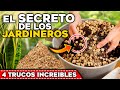 Los JARDINEROS y VIVEROS NO QUIEREN que SEPAS ESTO!! | 4 SECRETOS para CUIDAR tus PLANTAS y FLORES