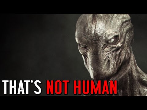 THAT'S NOT HUMAN - Man Encounters Terrifying Creature in North Carolina  Woods - What Is It? - YouTube