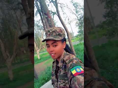 29 November 2025 29 November 2025