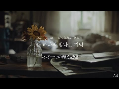 Close to You / Jin 【かなるび 歌詞 和訳】