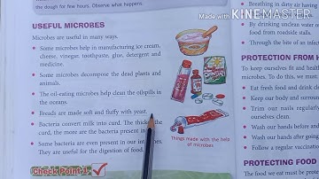 Science Booster, class 4, The world of Microbes, Part 3