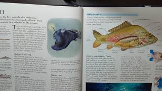 ASMR Science Book Reading, Soft Spoken, No Tapping screenshot 4