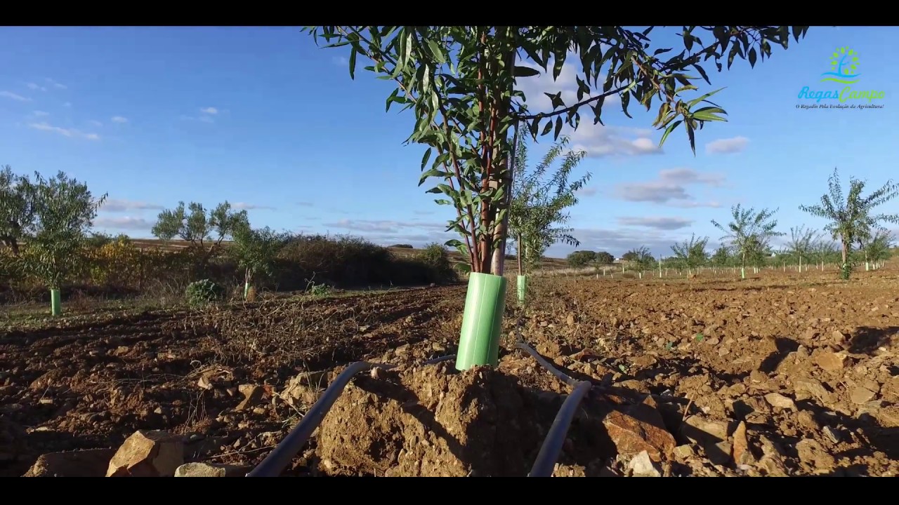 Rega Gota a Gota - RegasCampo