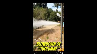 Blow Down Of Tuolumne....roaring Camp, Ca....