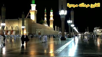 صلاة العشاء سورة الحجرات بصوت هادئ
