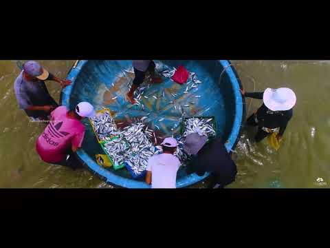 Video flycam Bình Thuận - youtube