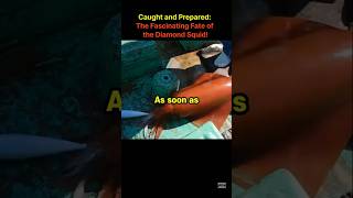 Caught and Prepared: The Fascinating Fate of the Diamond Squid!