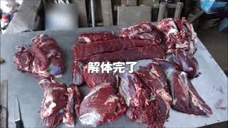 【狩猟部】#3 超簡単！「鹿丼」