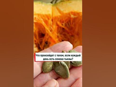 Для чего есть семена тыквы каждый день? Смотри закреп комментарий 👆 # ...