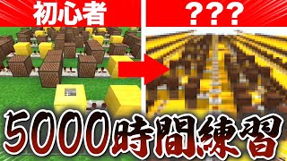 初心者が”5000時間”音ブロックを練習した結果・・・　【マイクラ】