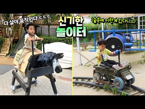 숲속에서 신기한 <strong>놀이터</strong> 찾았어요! 이런 <strong>놀이기구</strong> 까지 있다니 ㅋㅋㅋ 흔한 가족 일상 아이랑 여행 | 말이야와친구들