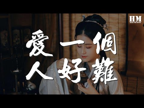 蘇永康 - 愛一個人好難『想要把你忘記真的好難』【動態歌詞Lyrics】