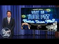 Why Is Your Pet Better Than Me?: Painting Dog, Piano-Playing Cat | The Tonight Show