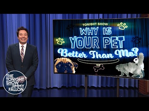 Video: Pet Scoop: Lama apmeklē Vašingtonas slimnīcas, Jimmy Fallon lūdz: Vai jūsu suns ir dīvaini?