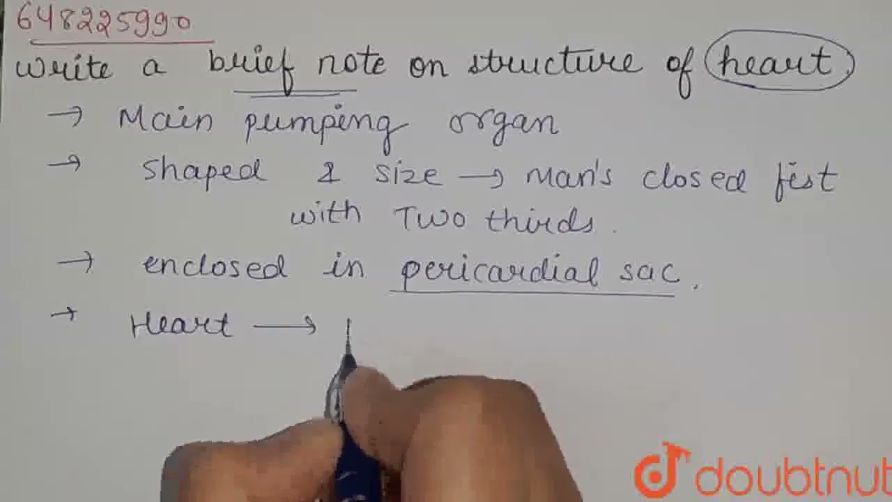 Write A Brief Note On The Structure Of Heart CLASS 10 LIFE Write A Brief Note On The Structure Of Heart CLASS 10 LIFE