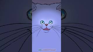 Типичные Кошаки По Ночам (Анимация Bithapi) #Shorts #Animation #Cat