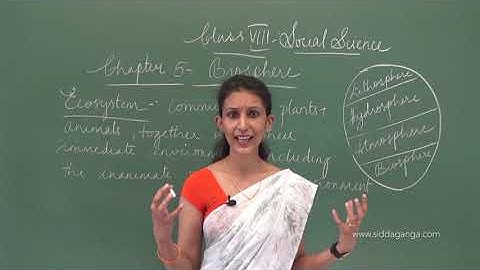 STATE 8 - SOCIAL - BIOSPHERE - PART 1