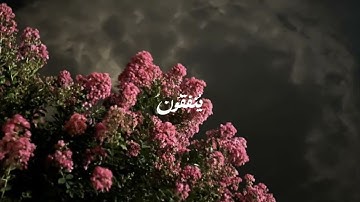 سوره السجده🤍