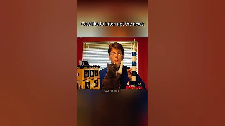 Watch the video about Cat funny #cats #cat #funny #funncats #catvideos #funnycatvideos #kitty